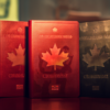 Free Guide to Obtaining Work Visas in Canada