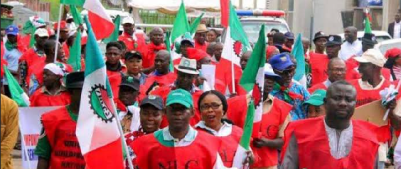 NLC Strike: Why This is Not The Solution To Worker's Plight