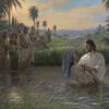 Discipleship